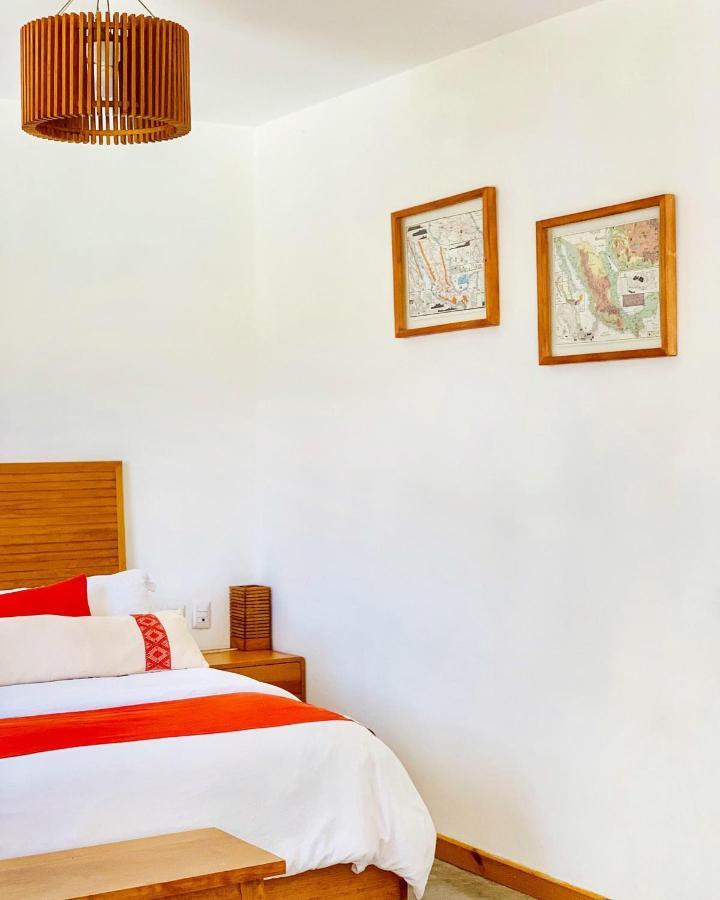 Casa Cafeologo Otel San Cristóbal de Las Casas Dış mekan fotoğraf