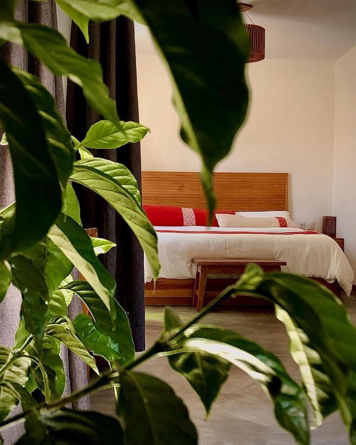 Casa Cafeologo Otel San Cristóbal de Las Casas Dış mekan fotoğraf