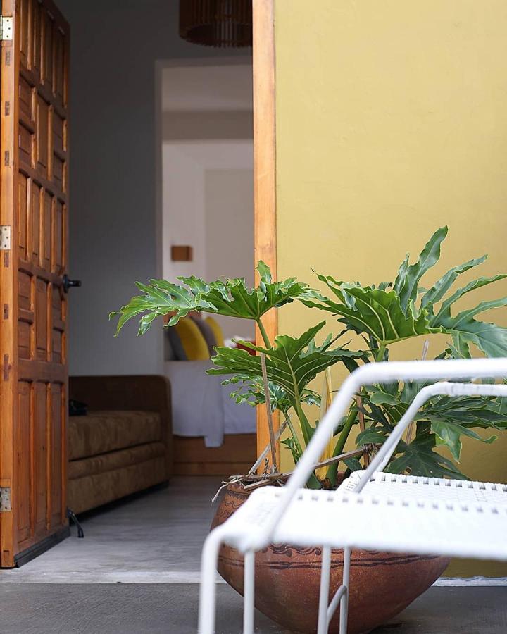 Casa Cafeologo Otel San Cristóbal de Las Casas Dış mekan fotoğraf