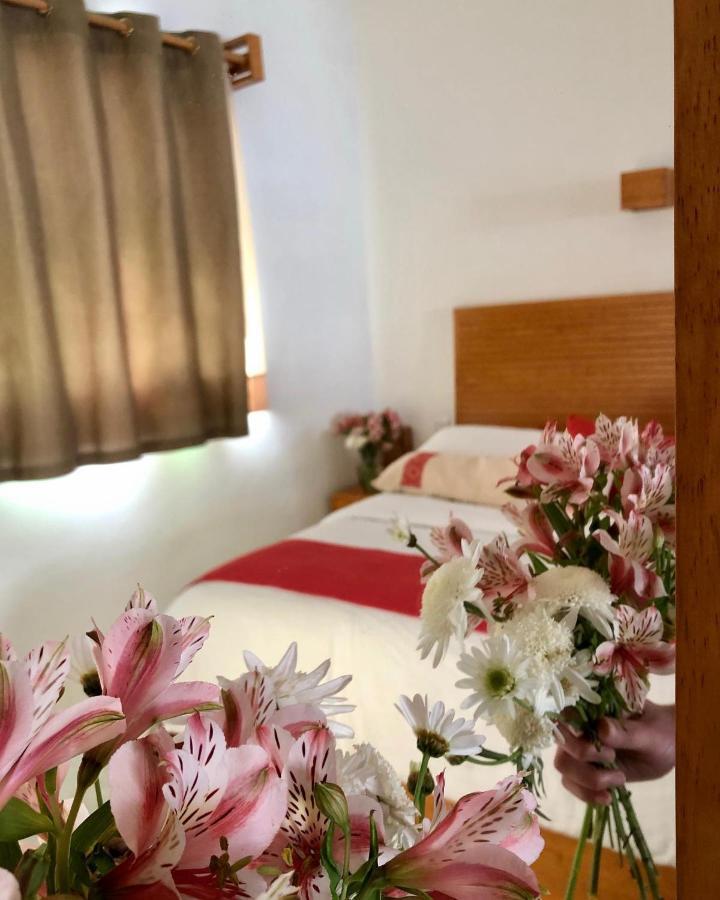 Casa Cafeologo Otel San Cristóbal de Las Casas Dış mekan fotoğraf